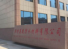 動(dòng)態(tài)